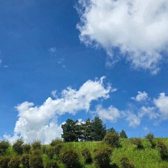 夏空🌈
