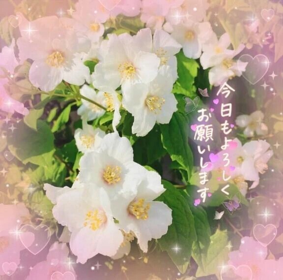 18:00から😌💕