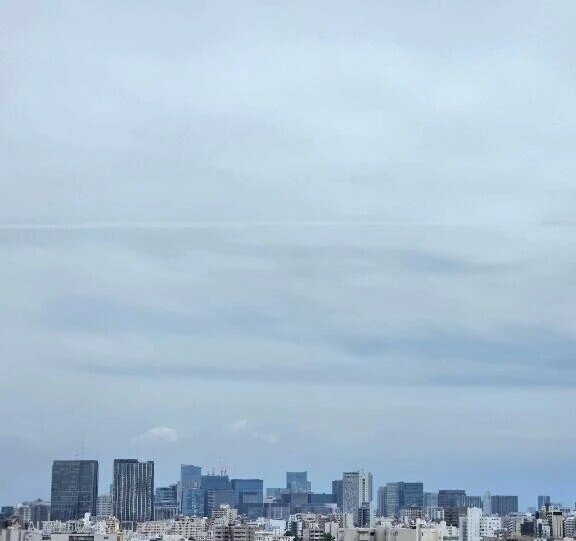雨上がり蝉が鳴く