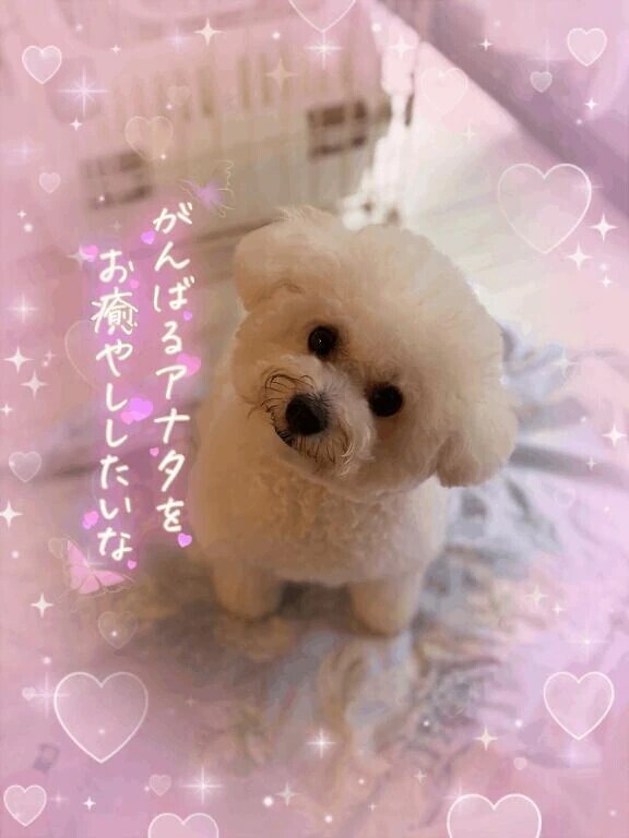 一緒に😌💕