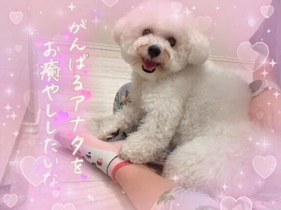 おやすみです😌💕