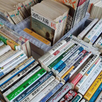 野々村すずね