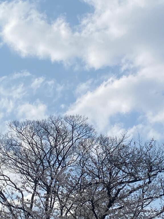 四月スタート