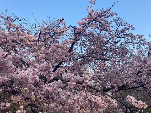 こんにちは