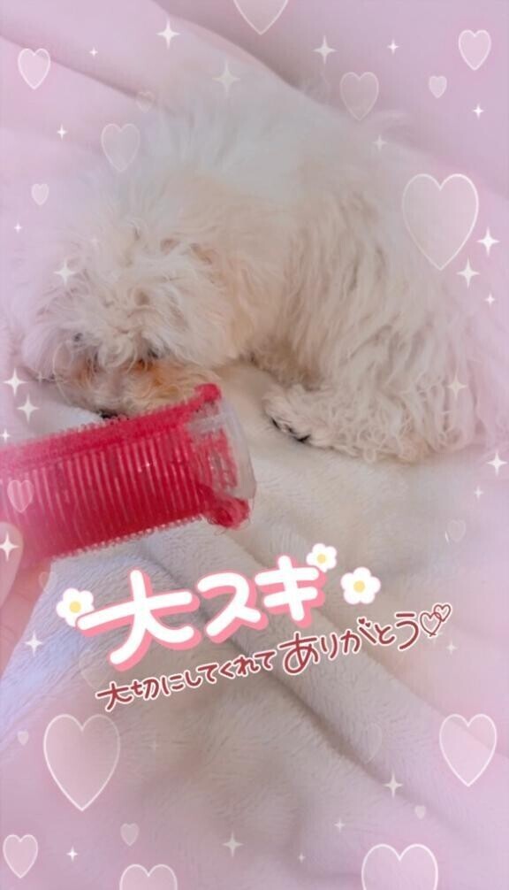 ご予約ありがとうございます☺️💖
