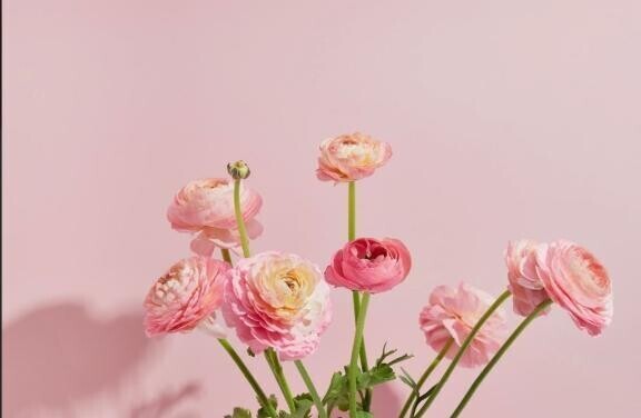 新しい風を♡吹かしていきたい//♡