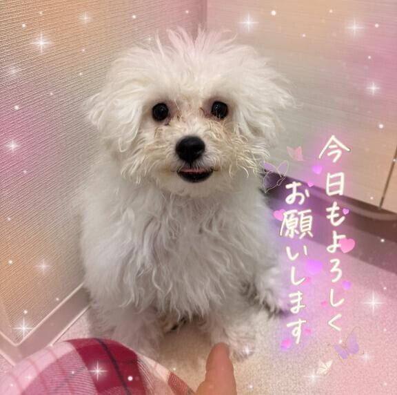 🐶🐶5ヶ月の姫の注意点🐶🐶