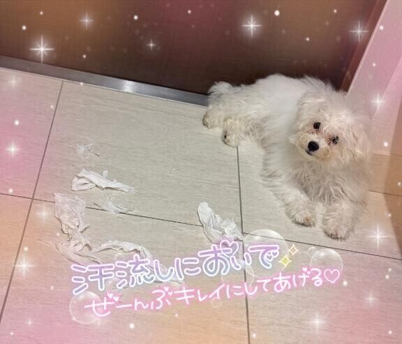ずっと会いたかったです//♡