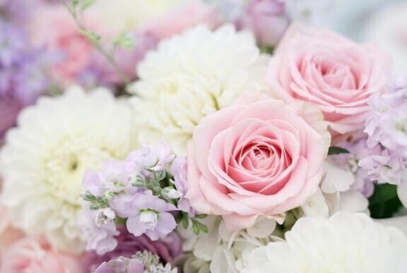 4月度も♡ありがとうございました//♡