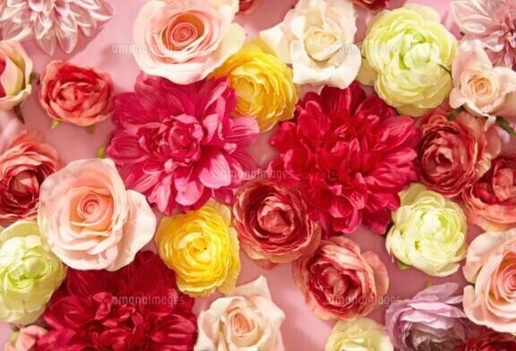 5月度も♡よろしくお願いします//♡
