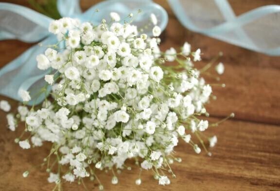 For you✍️