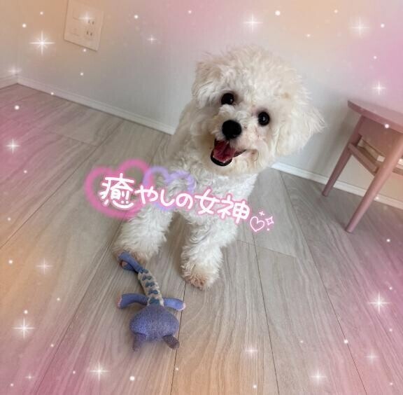 🈵本日ご予約完売🈵