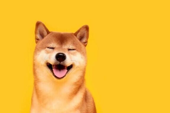 7/20(日曜日)19:00新宿待ち合わせのお兄さま✍️