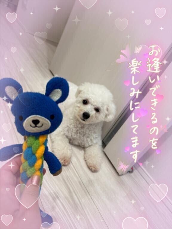 次回の案内は//♡