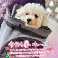 小澤ゆな
