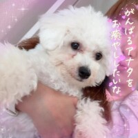 小澤ゆな