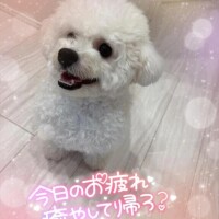 小澤ゆな