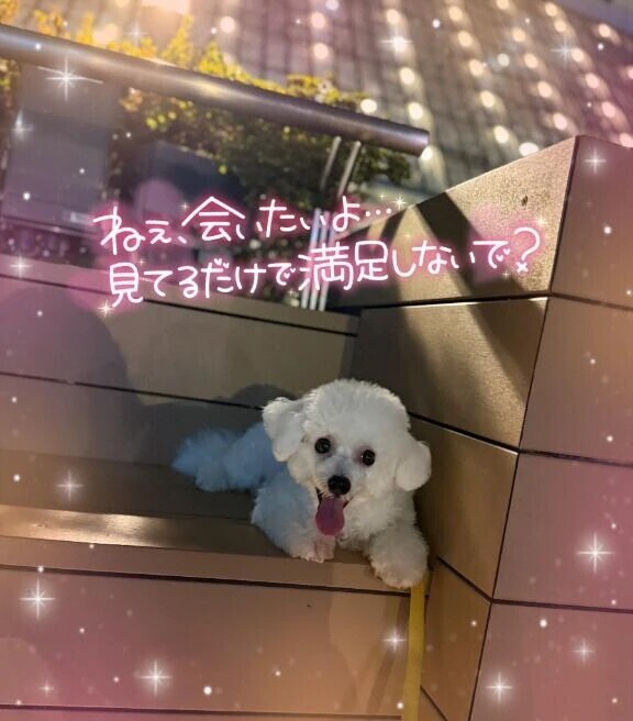 午後のご案内は…♡