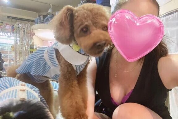 🩷今日のワンコ🩷