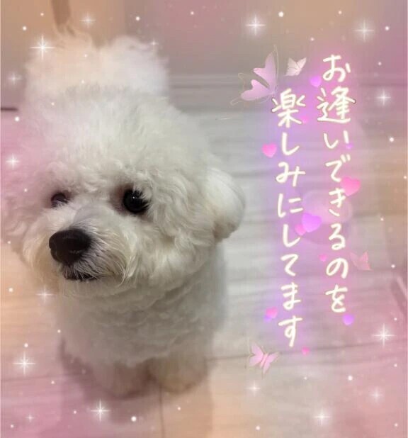 本日も完売しています…♥️