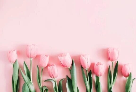 10/17(金曜日)歌舞伎町ホテルカラフルのお兄さま✍️