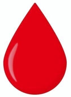 ごめんなさい。