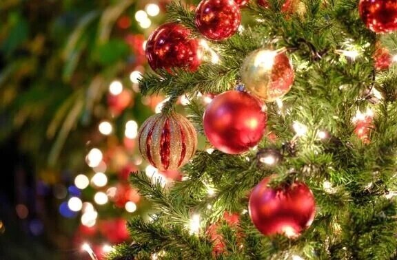 明日の事前のご予約…♥️