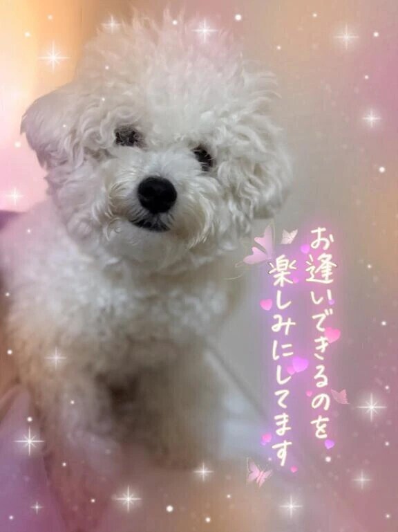 今週は21日と22日完売しています🈵🈵