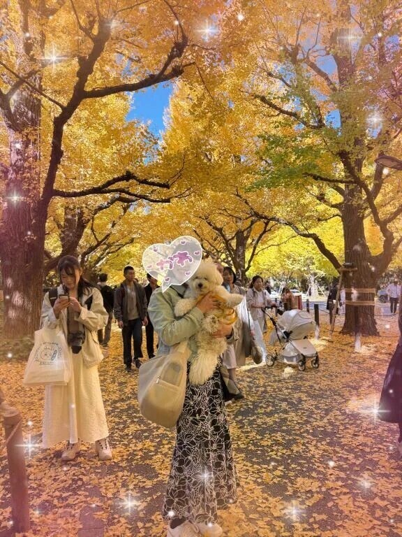 先日の秋が最高でした🍁🍁