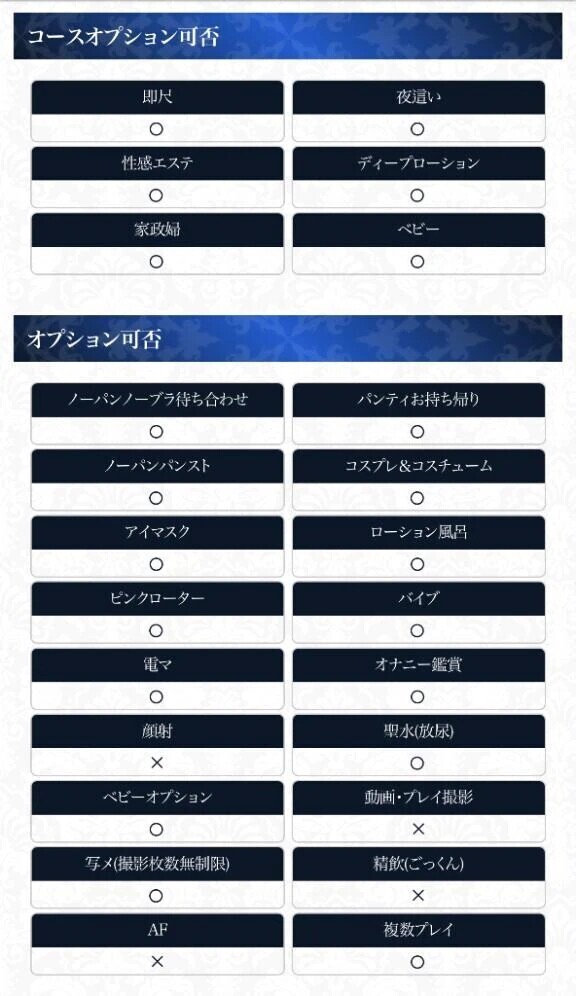 オプションです