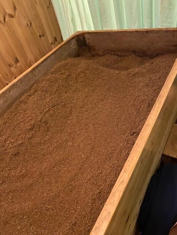 休日は…🌹🫧✨