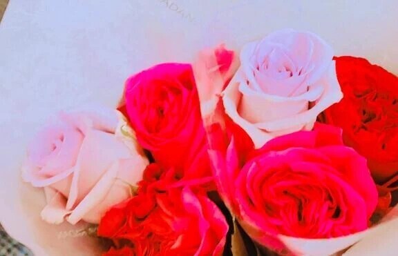 🏵️フラワー🏵️