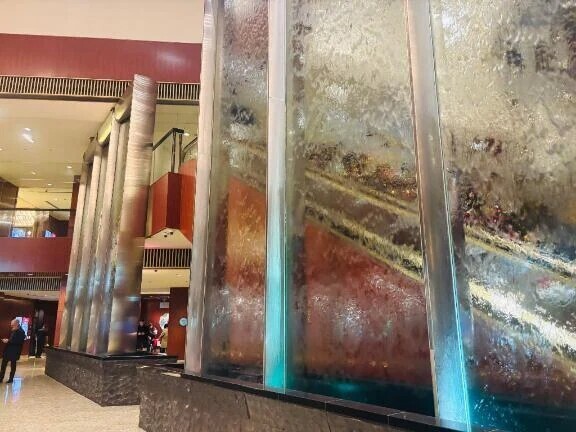 🌹🈵本日完売ありがとうございました🈵🌹✨