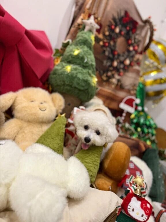 事前のご予約ありがとうございます…♥️