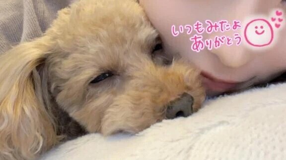 🌸出勤予定🌸