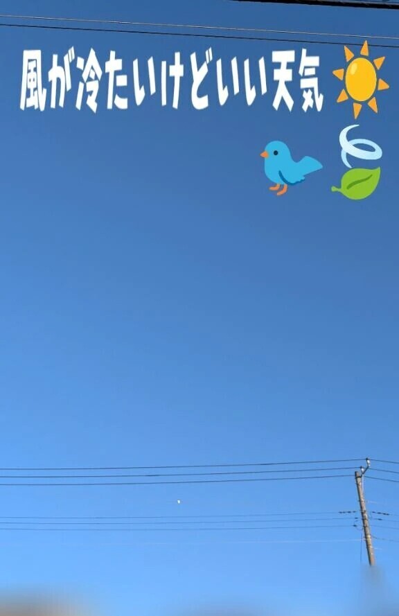 風が冷たいー！！🍃