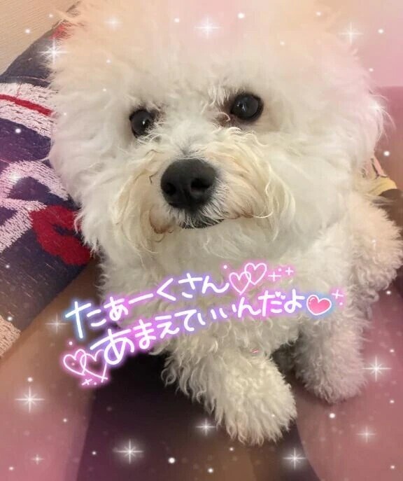 次回は2/25(水曜日)です♥️