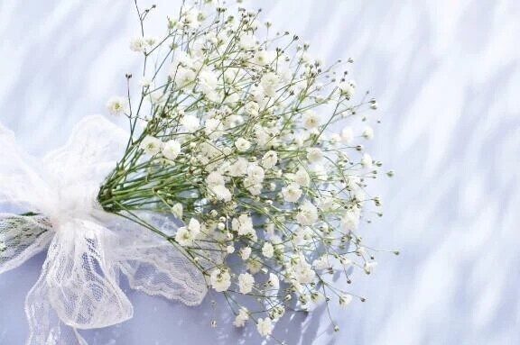 本日のお礼💌  ̖́-‬