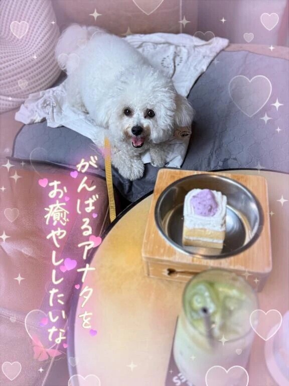 本日の空き枠はお電話にて♥️