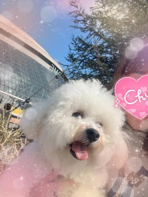 明日のご案内について♥️