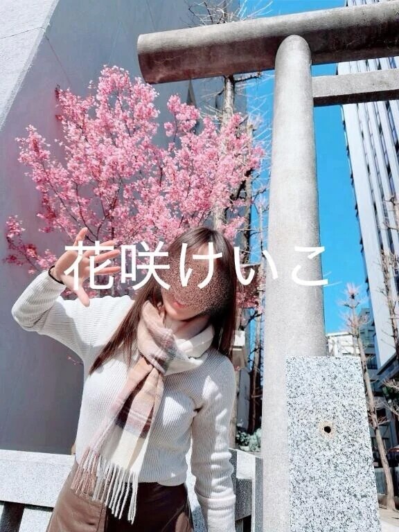 河津桜🌸🌸🌸