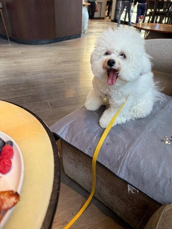 3/11(水曜日)事前のご予約で完売しています🈵🈵