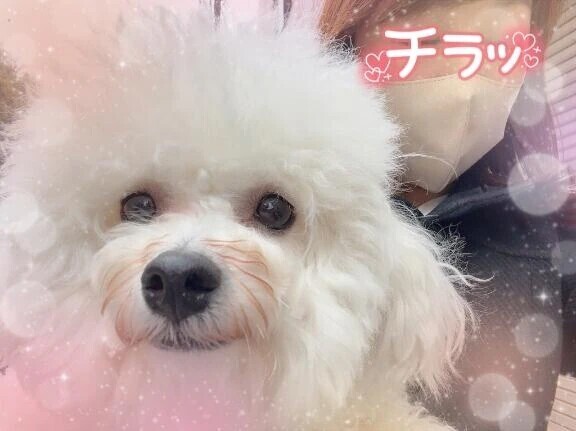 本日の空き枠について🈳