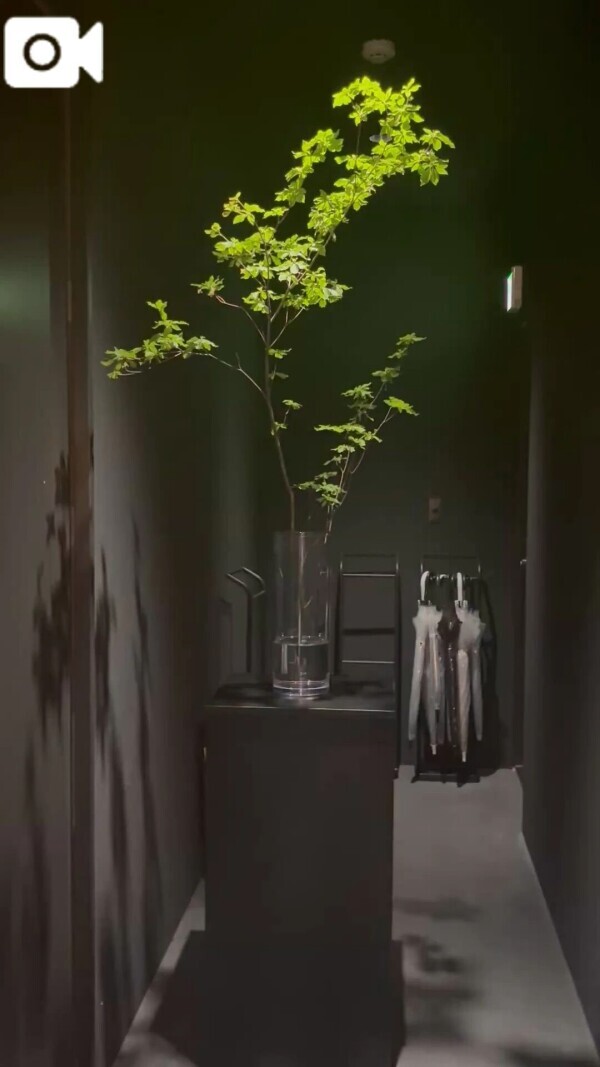 お洒落なカフェ🍽️💗