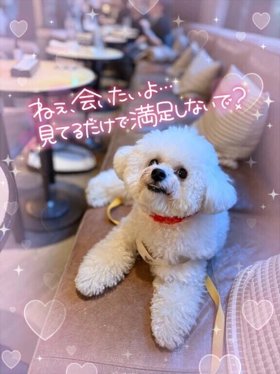 雨降りの月曜日ですね…♥️