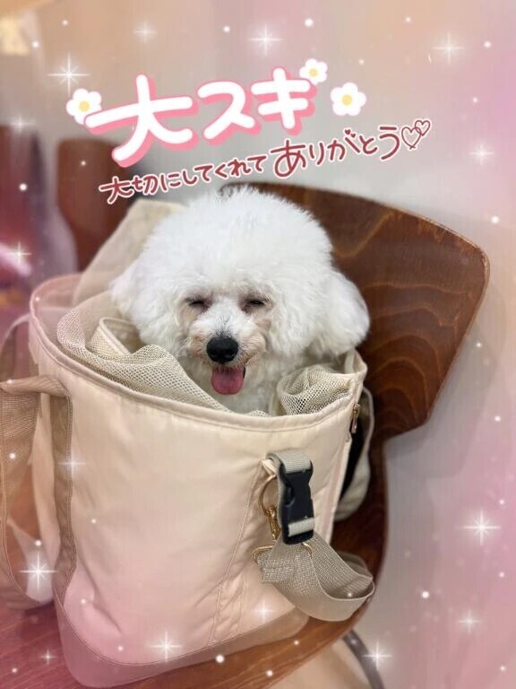 コースUPありがとうございます&満員御礼🈵🈵
