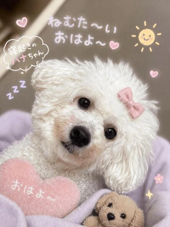 GWのご予約はお早目に♥️