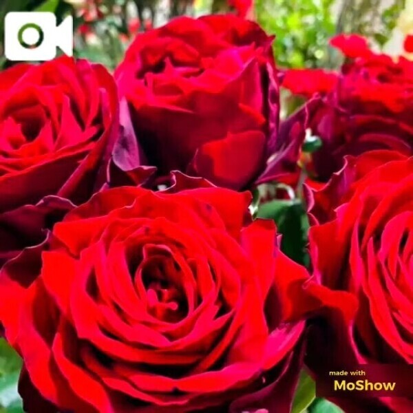 🌟事前予約いただいてるお兄さん🌟