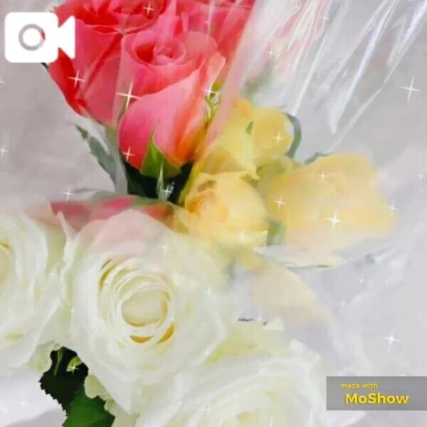 🌟出勤予定です🌟