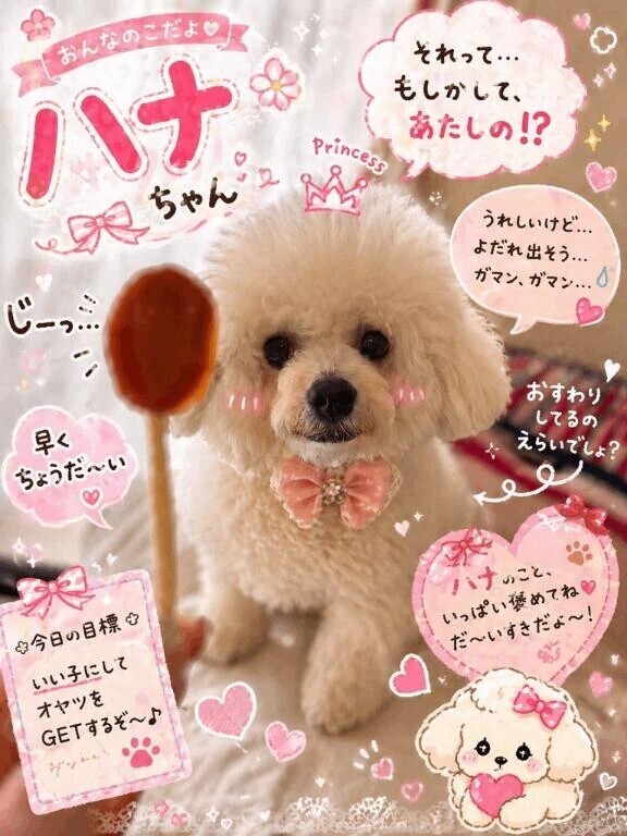 屋久島のお兄さま♥️